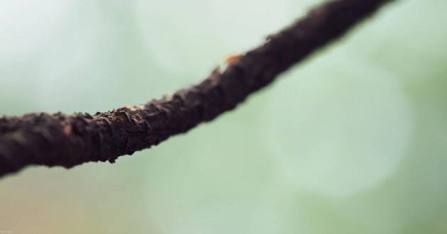 重庆风水大师