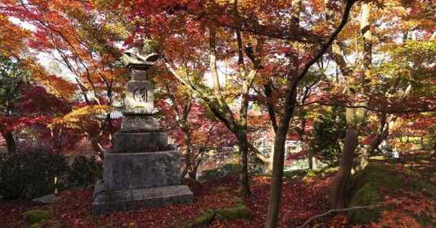 重庆风水大师