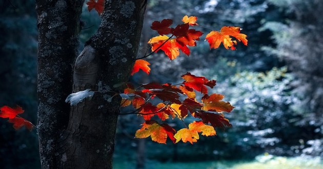 广东风水大师