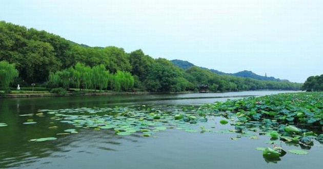 广东风水大师