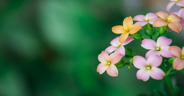 深圳风水大师