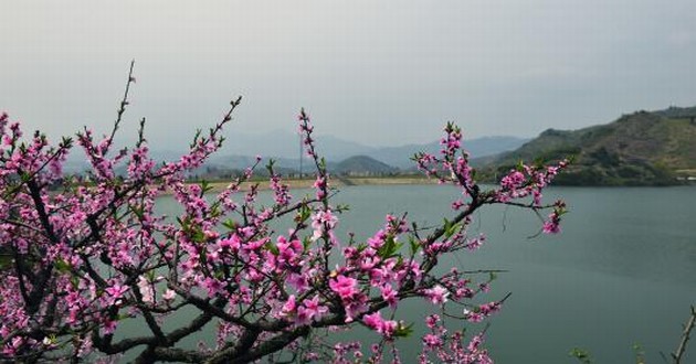 深圳风水大师