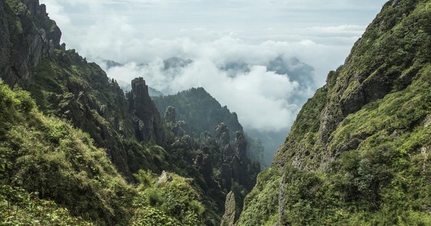 深圳风水大师