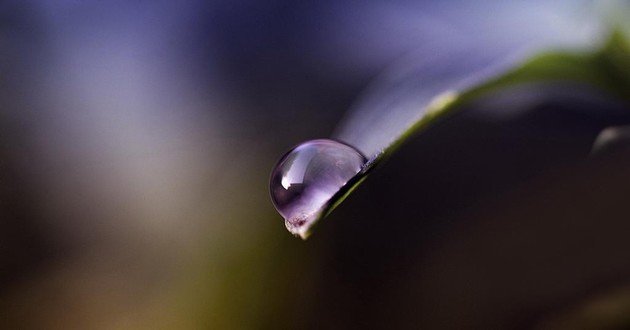 杭州风水大师