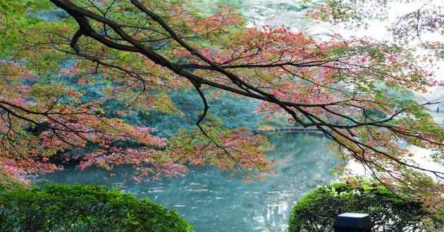 杭州风水大师