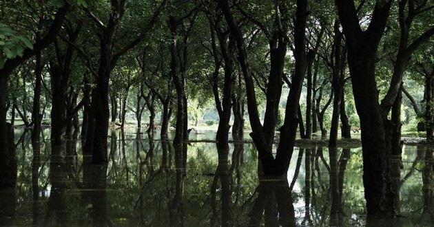 杭州风水大师