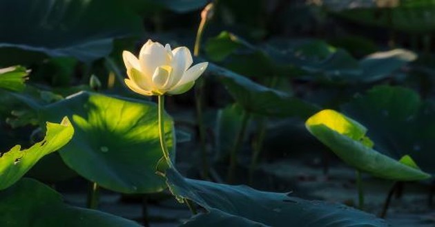 杭州风水大师