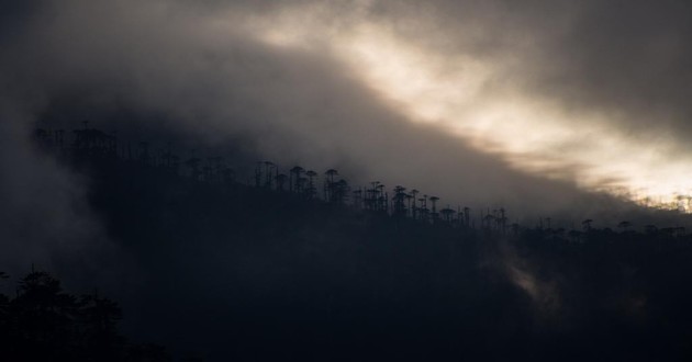 杭州风水大师