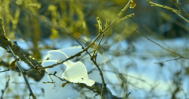 河北风水大师