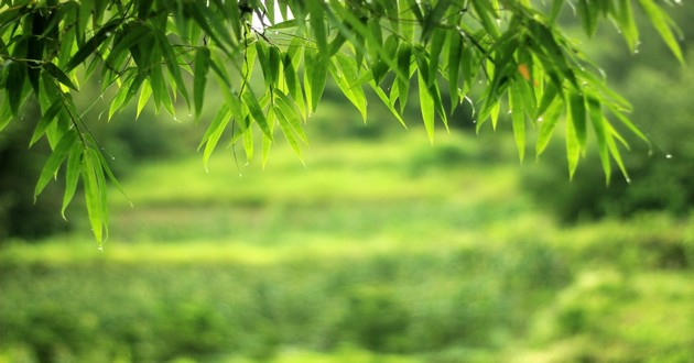 河北风水大师