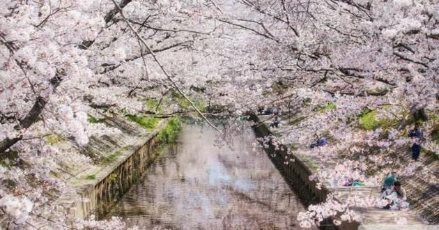 河北风水大师