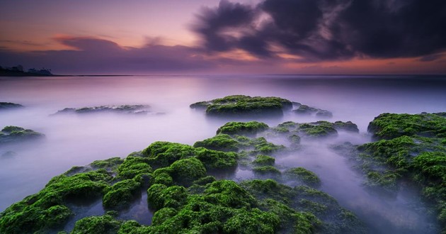 河北风水大师