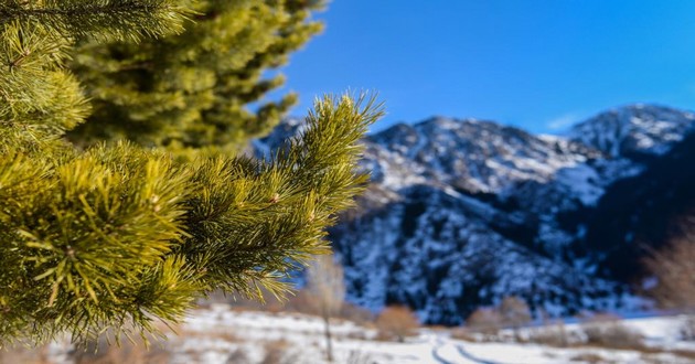 山东风水大师