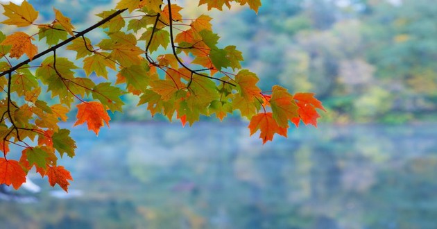 山东风水大师