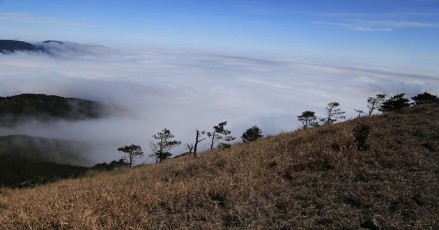 山东风水大师