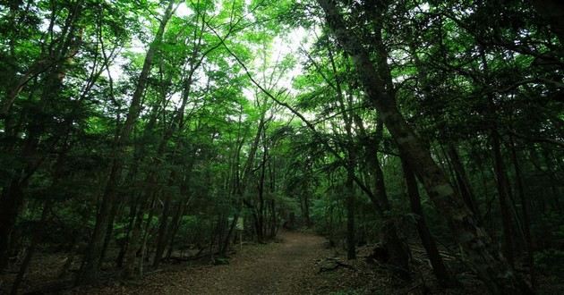 山东风水大师