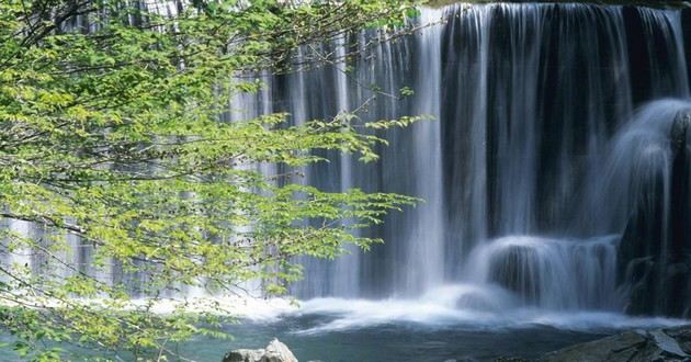 北京风水大师